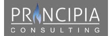 Principia Consulting | Energy Tech Review | Top ETRM Consulting/Service Companies