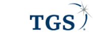 TGS - Top Onshore and Offshore Technology Consulting/Services Companies TGS