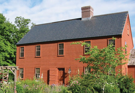 Elevating Solar Energy with Artful Design